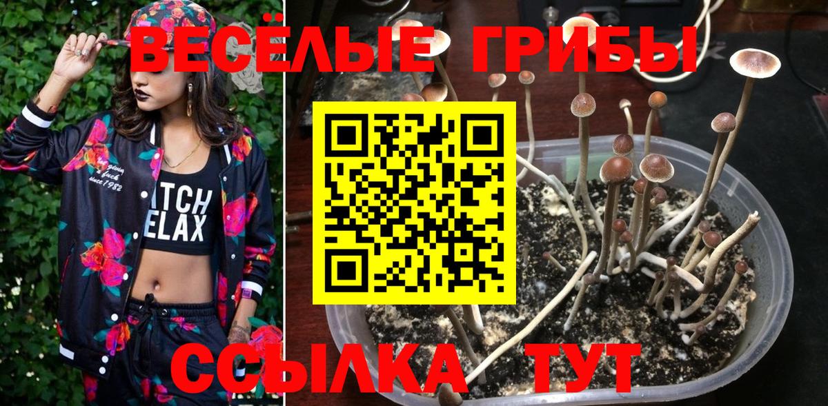 Галлюциногенные грибы GOLDEN TEACHER  Галлюциногенные грибы мицелий  Вход с VPN  Зерноград 