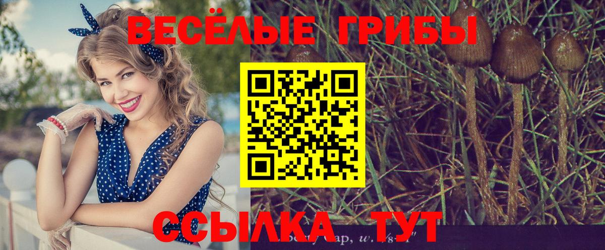 Псилоцибиновые грибы мицелий Зерноград
