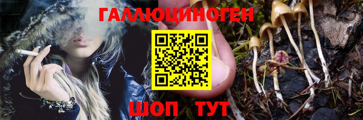 Альфа ПВП Зерноград